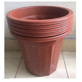 5 Chậu Nhựa Trồng Hoa, Cây Cảnh E350 CN Màu Nâu