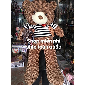 Gấu bông Tedy khổ 1m2 Bông gòn ảnh thật 100% (shop miễn ship)
