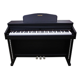 Đàn Piano điện Dynatone DPR 1650