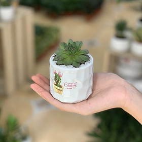 Sen Đá Phật Bà - 7x7x10 Cm - Cây Mini Để Bàn & Chậu Gốm Sứ Bát Tràng Trồng Cây Sen Đá, Xương Rồng, Tiểu cảnh Terrarium - Dáng Trụ - Mầu Trắng