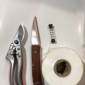Mua Bộ ĐỒ CẮT - GHÉP CÂY CHUYÊN DÙNG ( kéo Sada L2   Giấy ghép 5cm  dao ghép cán gỗ)