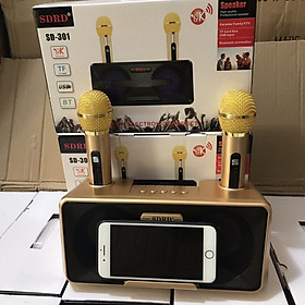 Loa Karaoke Bluetooth SDRD - SD301 Hàng Chính hãng - Tặng 2 Mic Không Dây Siêu Hay - ĐEN