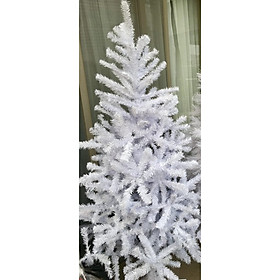 Cây thông noel màu trắng đầu tròn 2in (Cây 90cm)