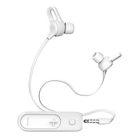 Tai Nghe Wireless IFROGZ Sound Hub Sync Earbud FG