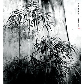 Giấy dán tường - 0001