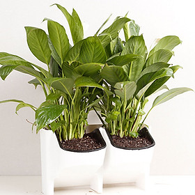 Plant Pots Hanging Flower Pot 2-Pocket FlowerPot Stackable Stackable