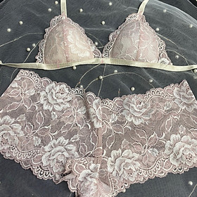 Bộ Nội Y Thiết Kế Ren Cao Cấp Trắng phớt Hồng Có Mút Quần Đùi