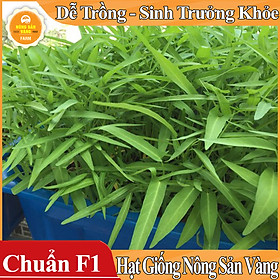 Mua Hạt giống Rau Muống Lá Tre ( Gói 50 Gram )