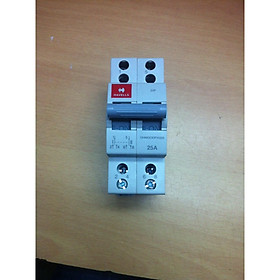 Mua CẦU DAO ĐẢO CHIỀU MINI 2P-25A HAVELLS ẤN ĐỘ