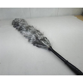 Mua Chổi Phất Trần Lông Chuột (cái)