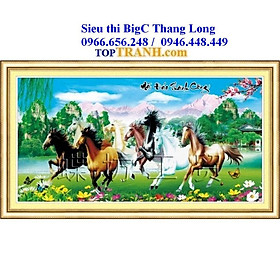 Mua tranh thêu chữ thập 3D mã đáo thành công 222340 chưa thêu  tranh thêu ngựa trên thảo nguyên