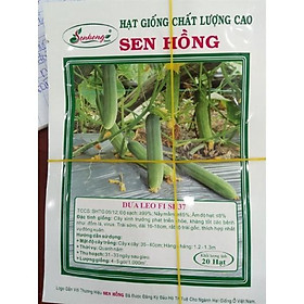 Hạt giống dưa leo SH37 Sen Hồng dưa leo dài 20 hạt