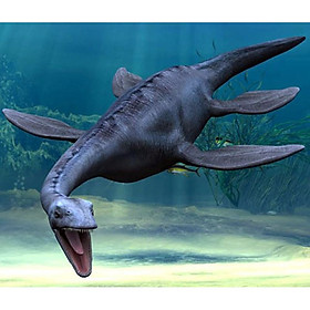 Mô Hình Khủng Long Plesiosaurus Chất Lượng Cao