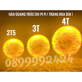 Mua ĐÈN THỜ LED HÀO QUANG TRÚC CHỈ PIPI  TRANH TRÚC CHỈ NỀN VÀNG CÓ DIMMER ĐIỀU CHỈNH ÁNH SÁNG HÌNH HOA SEN 25CM  30 CM   40CM