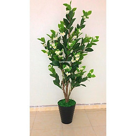 Mua Chậu cây hoa nhài 1m8  ảnh thật do shop chụp. Cây giả decor trang trí nhà cửa nội thất phòng khách phòng ngủ