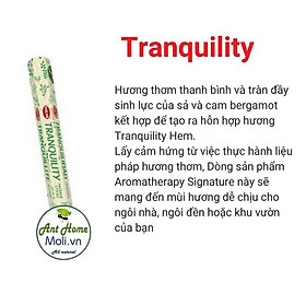 Mua Bộ sưu tập nhang HEM - RAJ thư giãn và chữa lành (HEM Aroma Therapy-Liệu pháp hương thơm )