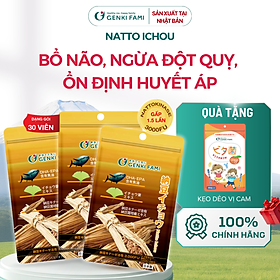 Viên Uống Nattokinase Phòng Ngừa Đột Quỵ, Bổ Não, Natto Ichou Genki Fami Nhật Bản Túi 30 Viên
