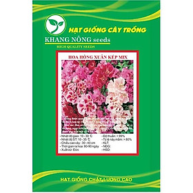 Hạt giống hoa hồng xuân kép mix màu KNS3568 - Gói 20 hạt