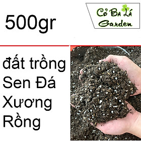 Mua đất trồng sen đá xương rồng ( túi 500gram)