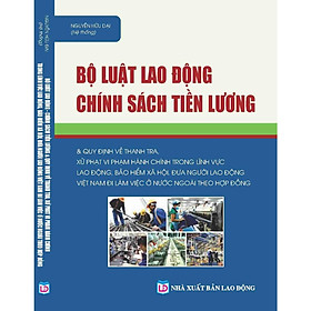 Bộ Luật Lao Động Chính Sách Tiền Lương Và Quy Định Về Xử Phạt Vi Phạm Hành Chính Trong Lĩnh Vực Lao Động, Bảo Hiểm Xã Hội