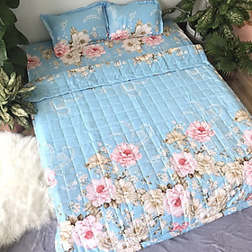 Chăn Ga Gối Poly 1m8