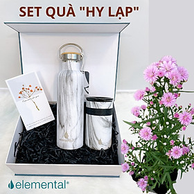 [Quà tặng cao cấp-Thương hiệu Mỹ] Bình giữ nhiệt Elemental cao cấp, set quà Hy Lạp,quà tặng ý nghĩa tặng người thân