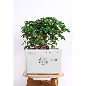 Máy lọc Không khí tích hợp cây xanh AIRemedy - Vỏ nhựa trắng (Hàng chính hãng)