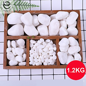 Sỏi trắng, đá trắng 1.2KG cao cấp, trang trí chậu cây, hồ cá, bể cá, tiểu cảnh, hòn non bộ thủy sinh, cây cảnh