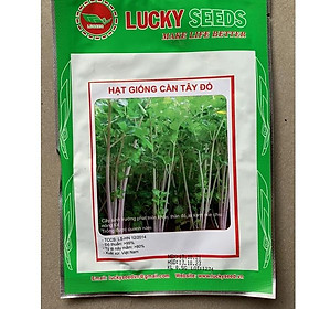 Mua Hạt giống rau cần tây đỏ CT328 - Gói 0.5gram
