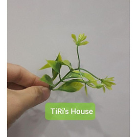 Mua 100gr Cỏ điểm ký trộn mẫu hoặc 1 mẫu