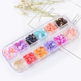 Mua Khay Đá Vỏ Sò 12 Màu Trang Trí Resin - Trường Thịnh Sài Gòn