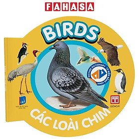 Picture Dictionary - Từ Điển Bằng Hình - Birds - Các Loài Chim - Bìa Cứng