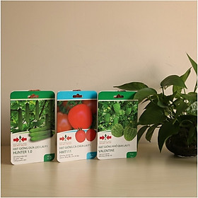 BỘ 3 GÓI HẠT GIỐNG KHỔ QUA TRÁI TIM, DƯA LEO, CÀ CHUA CỦA EAST-WEST SEED (HAI MŨI TÊN ĐỎ)