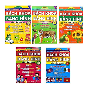 Bách khoa bằng hình đầu tiên cho bé theo chủ đề bộ 5 cuốn - song ngữ Anh Việt