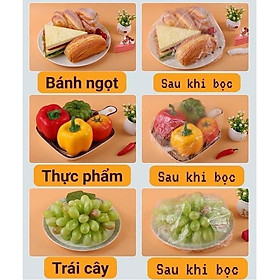 Mua Combo 100 túi bọc thực phẩm đa năng