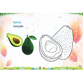 Sách Bé Làm Quen Môi Trường - Trái Cây