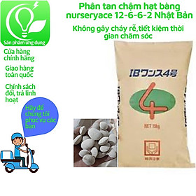 Mua Phân tan chậm hạt bàng nurseryace 12-6-6-2 Nhật Bản 500gr cho Bonsai  hoa lan  cây cảnh  cây ăn trái