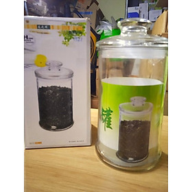Mua Lọ thủy tinh lục giác đủ size