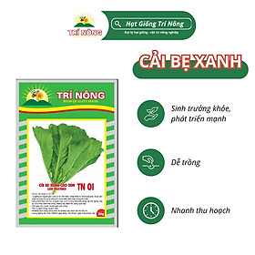 Mua Hạt Giống Cải Xanh Cao Sản Trí Nông   TN01  Dễ Trồng  Dễ Chăm Sóc  Thời Gian Thu Hoạch 30 ngày  Gói 20 gram