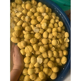 1KG HẠT DẺ TƯƠI BÓC SẴN VỎ ĐỂ NẤU HẦM LÀM SỮA HẠT CHIÊN MẬT ONG SIÊU NGON