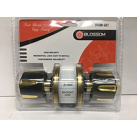 Mua Khóa tay nắm tròn cao cấp Blossom 5900BN -60ET(cò khóa 30mm)