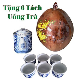 Bộ Ấm Trà Trái Dừa Cao Cấp Hoa Văn Nhành Mai, Bình Trà 500 - 950ml, Tặng Bộ 6 tách Uống Trà - Sản Phẩm Được Sản Xuất Tại Bến Tre