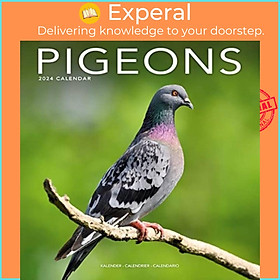 Sách - Pigeons Calendar 2024  Square Birds Wall Calendar - 16 Month by  (UK edition, paperback)