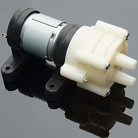 Hình ảnh Máy bơm nước mini 12V R385