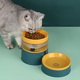 Automatic Pets Feeder 1L Water Dispenser Food Bowl Water Feeding Non-Spill Dish Protection Cervical