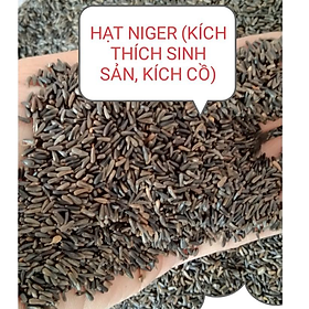 200g HẠT NIGER (KÍ.CH THÍ.CH SI.NH SẢ.N, KÍC.H C.Ồ) CHO CHIM VẸT