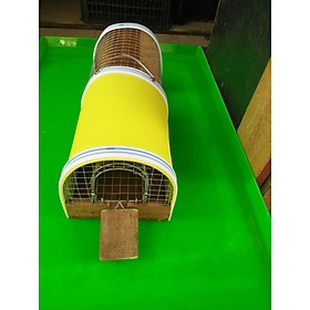 Lồng bắt Chuột Mini_ Bẫy chuột bập bênh tự động Thông Minh_ Bắt chuột không giết chuột