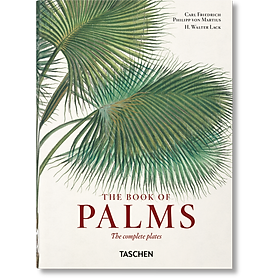 Hình ảnh sách Martius. The Book of Palms. 40th Ed.