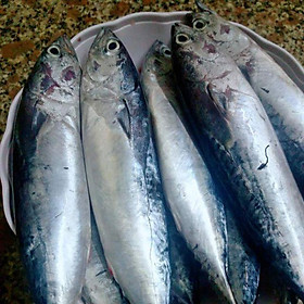 Cá Ồ Phú Yên 1kg