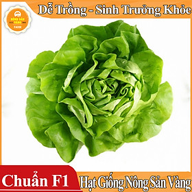 Mua Hạt giống Xà Lách Búp Mỡ   Xà Lách Đăm ( Gói 2 Gram )